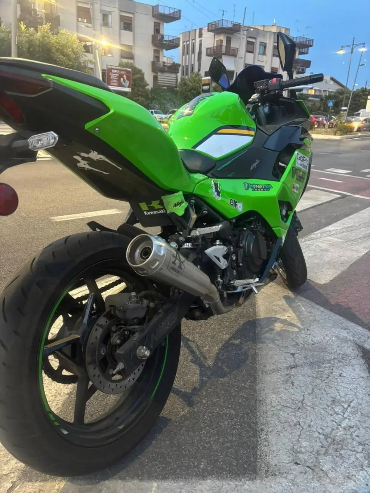 Kawasaki Ninja 500 SE (2024 - 26) (2)