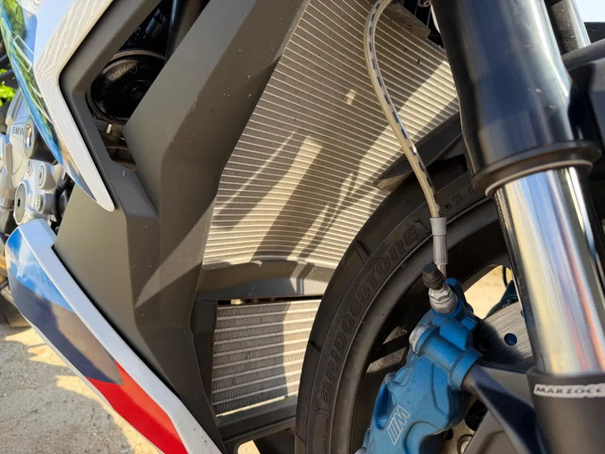 Bmw M 1000 R (2023 - 24) (8)