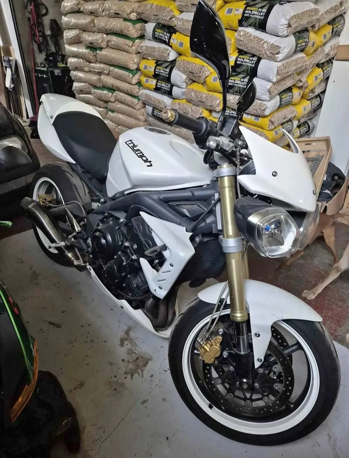 Triumph Street Triple (2007 - 12) (2)