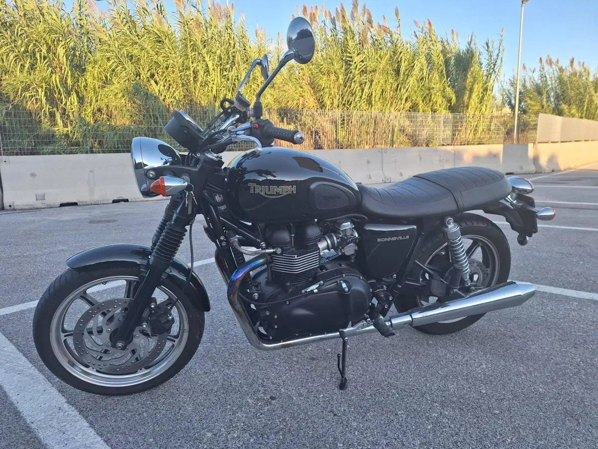 Triumph Bonneville SE (2009 - 13) (2)