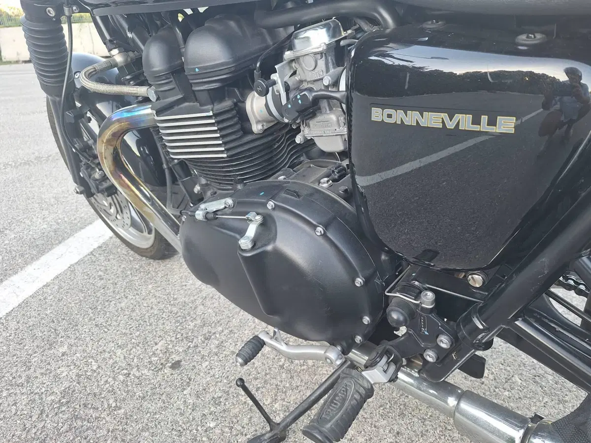 Triumph Bonneville SE (2009 - 13) (4)