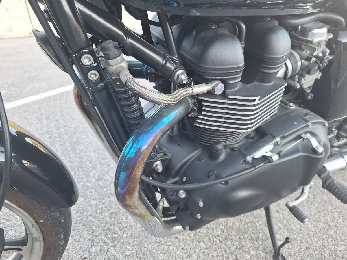 Triumph Bonneville SE (2009 - 13) (5)