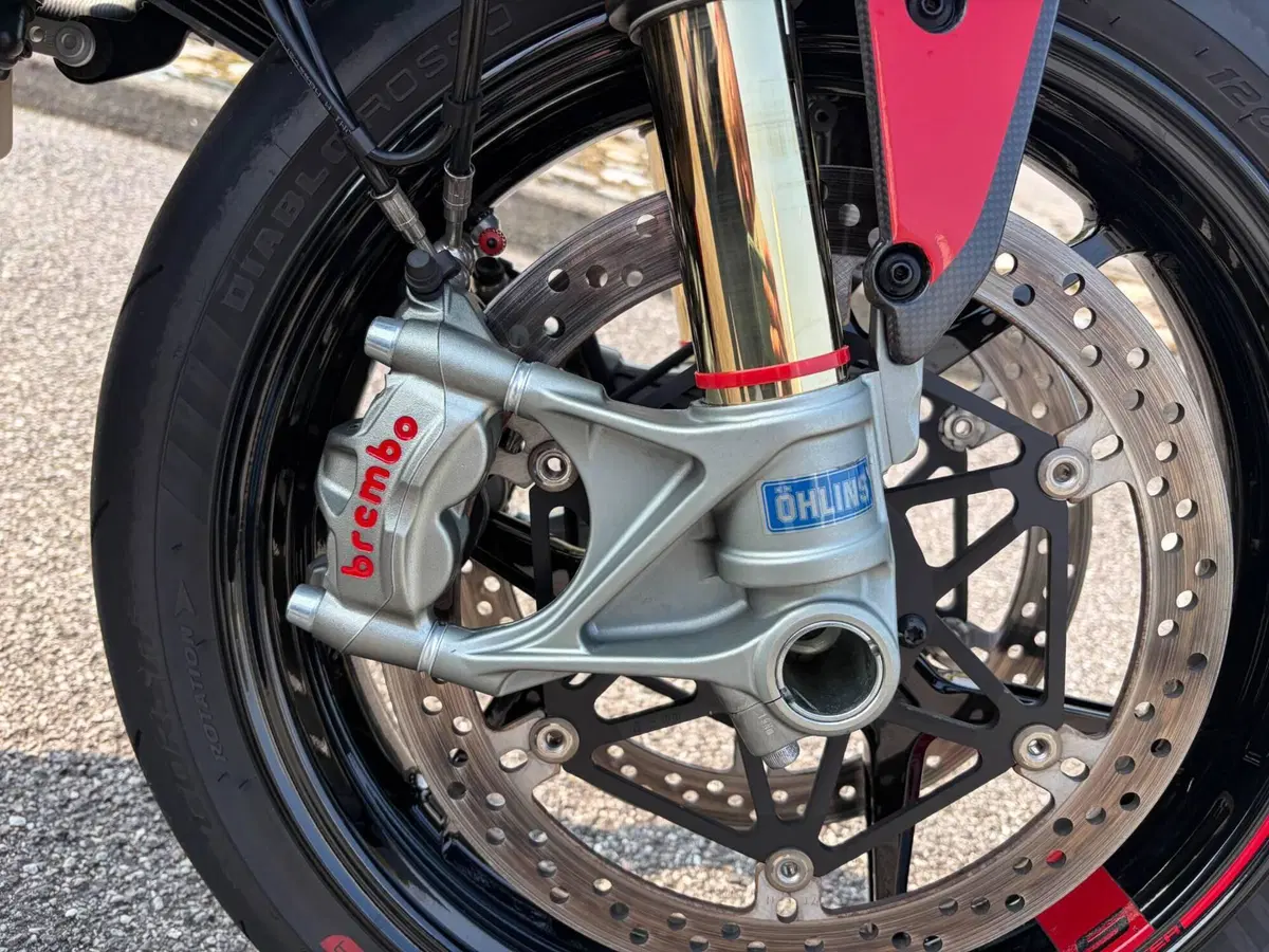 Ducati Monster 1200 S (2017 - 21) (4)