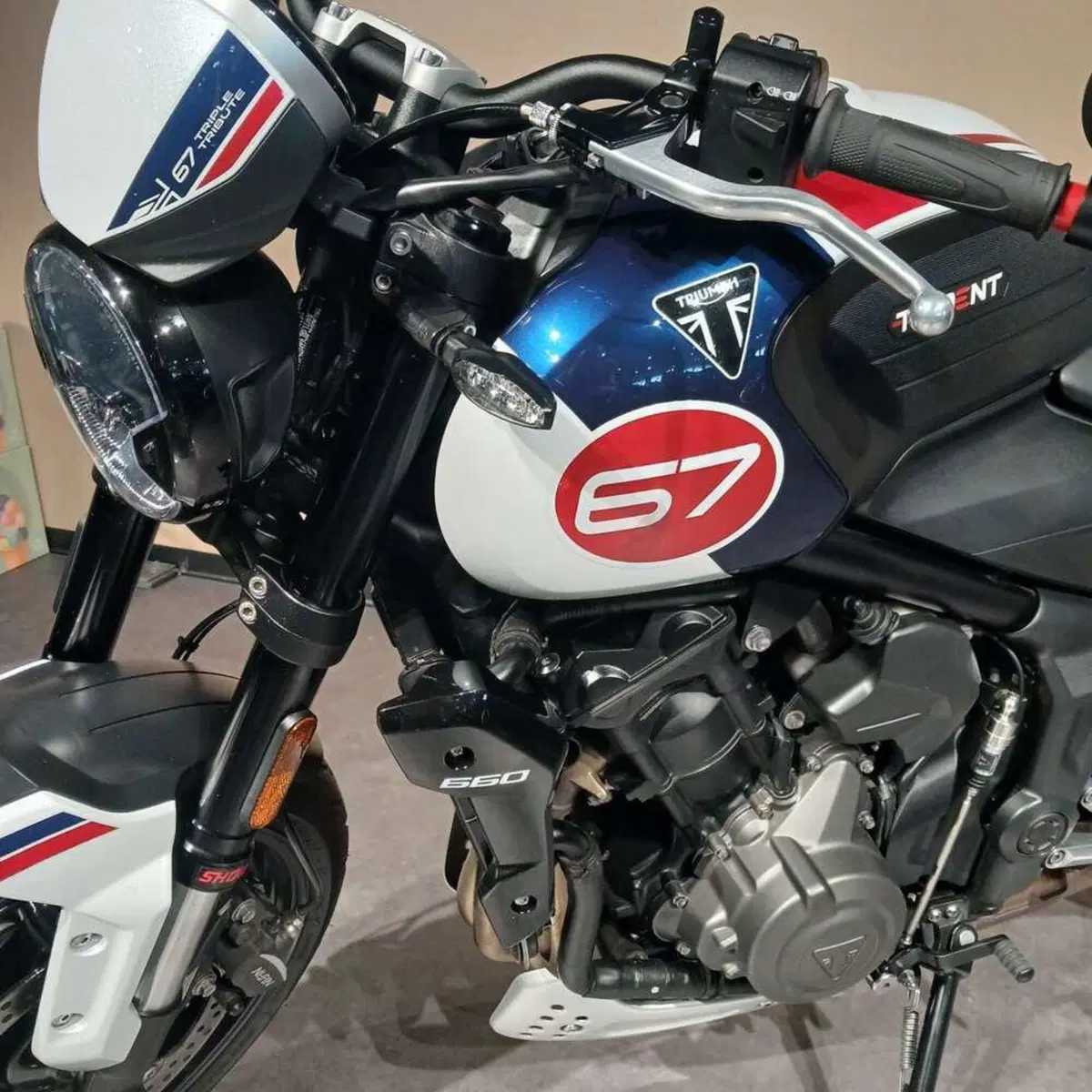 Triumph Trident 660 Triple Tribute Edition (2024) (2)