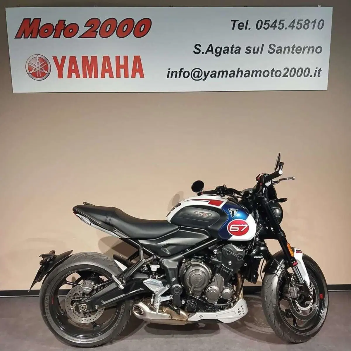 Triumph Trident 660 Triple Tribute Edition (2024) (3)
