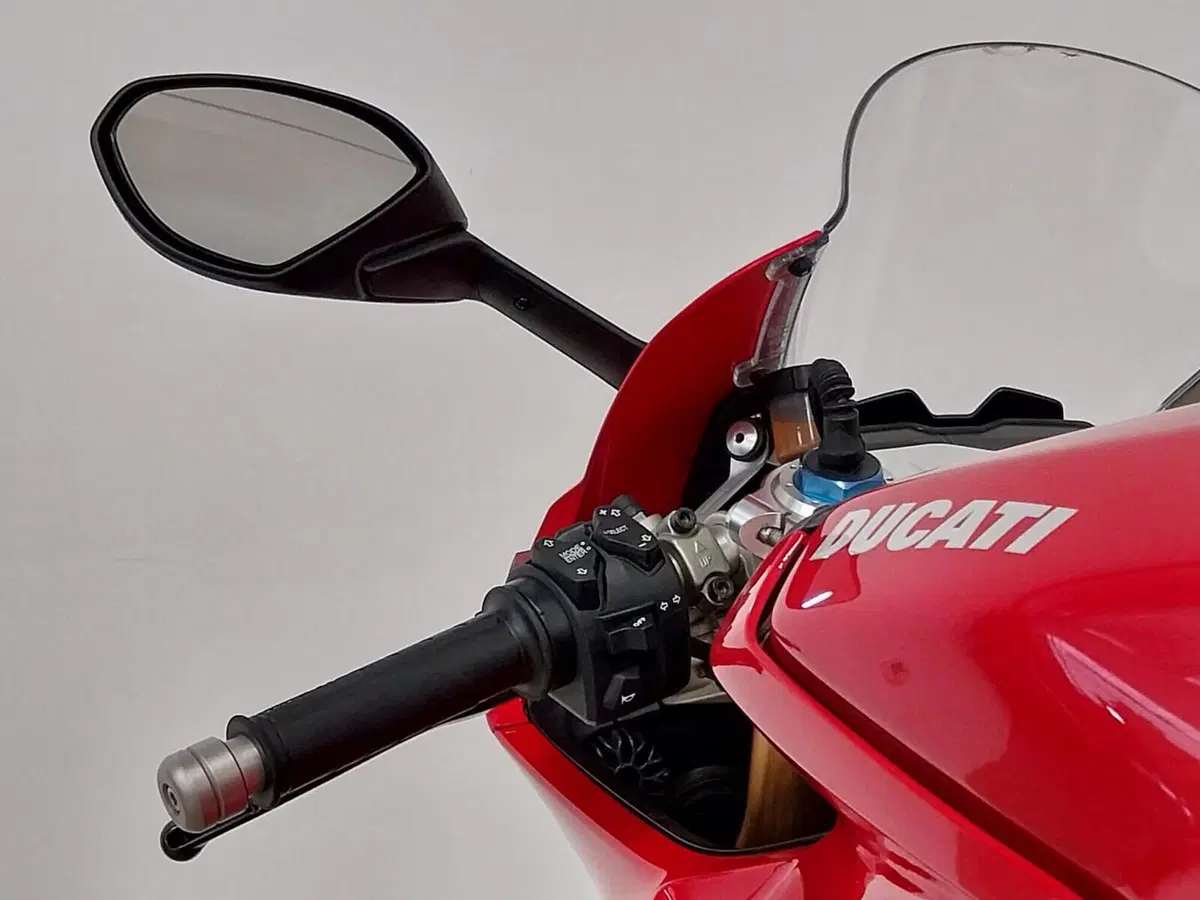 Ducati Panigale V4 S 1100 (2018 - 19) (17)