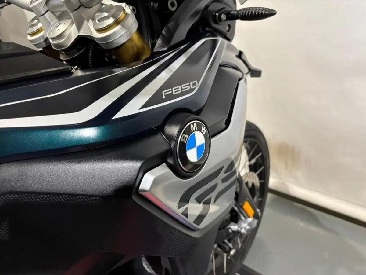 Bmw F 850 GS (2018 - 20) (15)