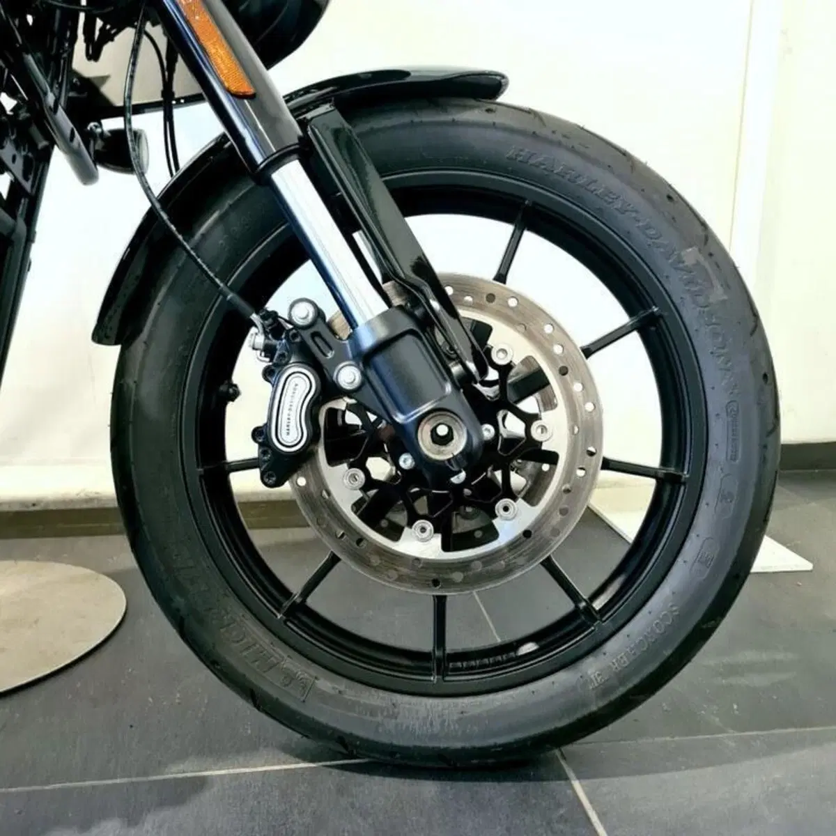 Harley-Davidson Low Rider ST (2025 - 26) (14)