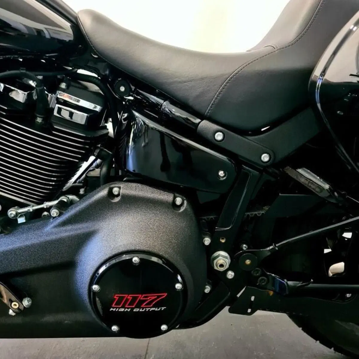 Harley-Davidson Low Rider ST (2025 - 26) (11)