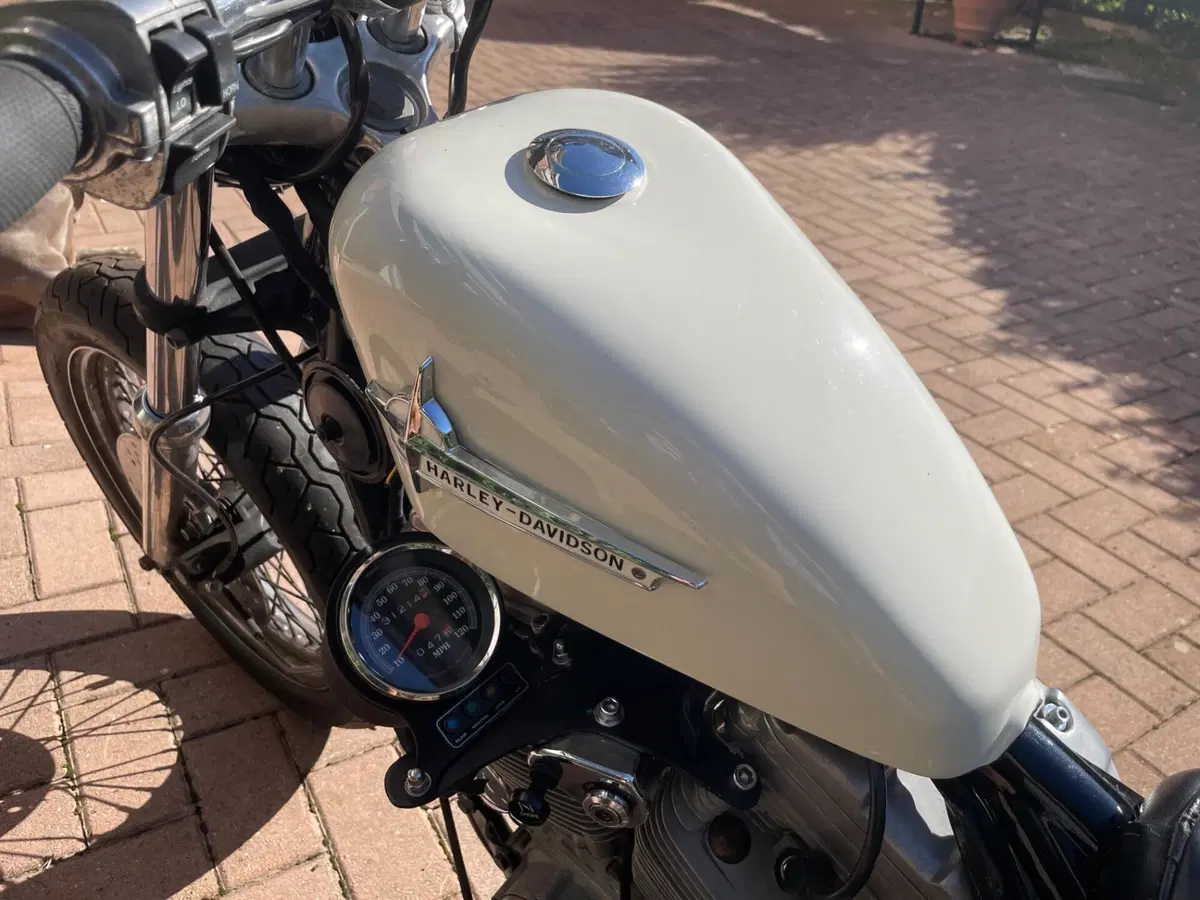 Harley-Davidson Sportster 883 XL (3)