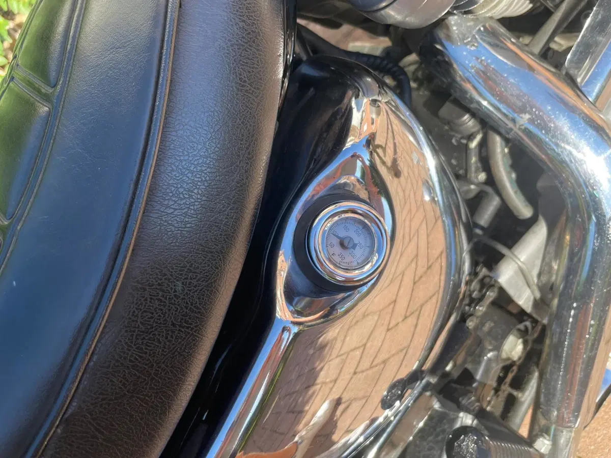 Harley-Davidson Sportster 883 XL (8)