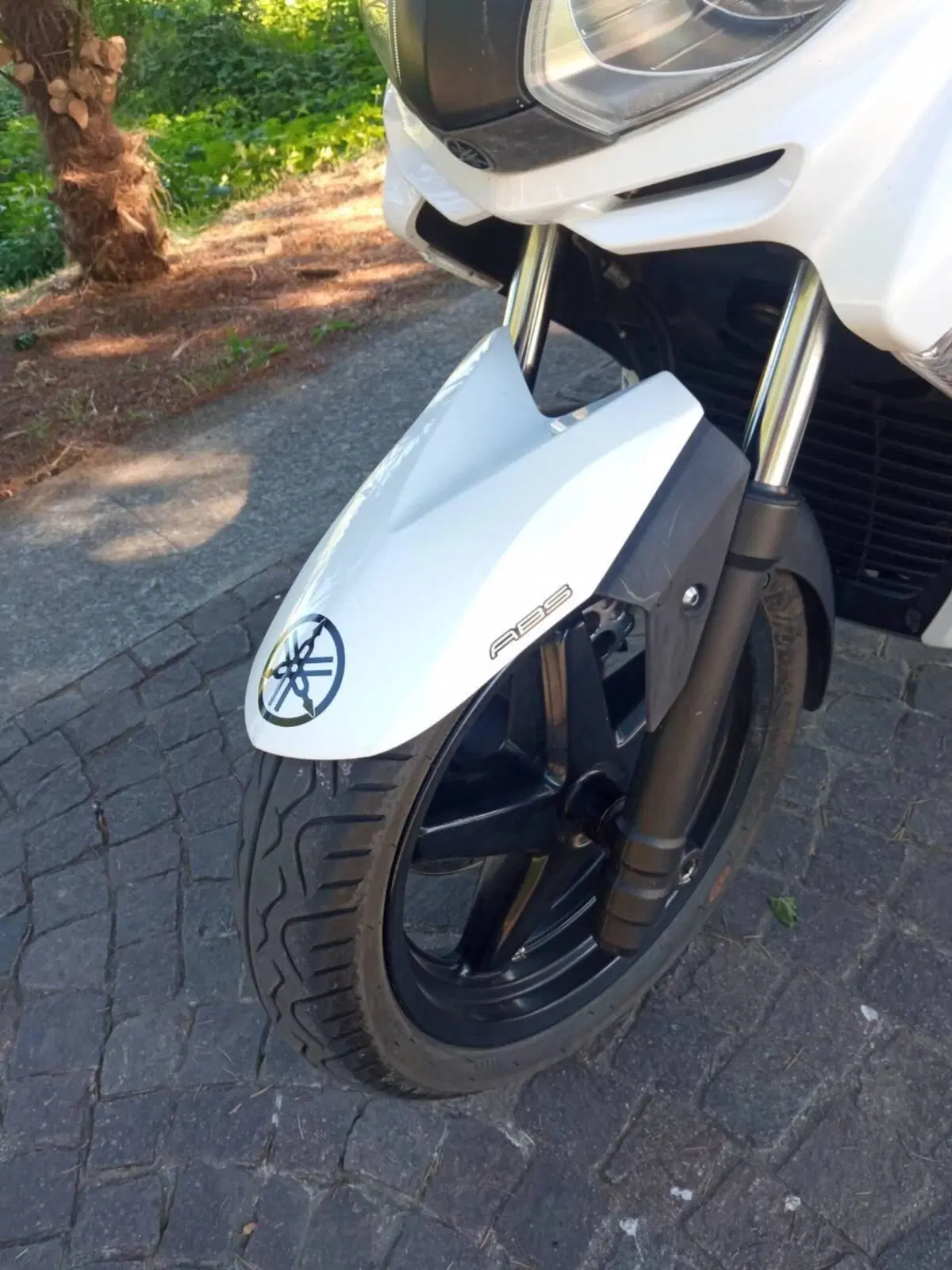 Yamaha X-Max 250 ABS (2011 - 13) (2)