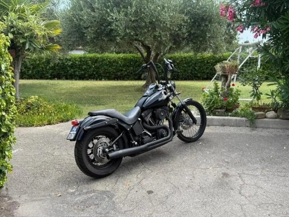 Harley-Davidson 1450 Night Train (2002 - 05) - FXSTBI (3)