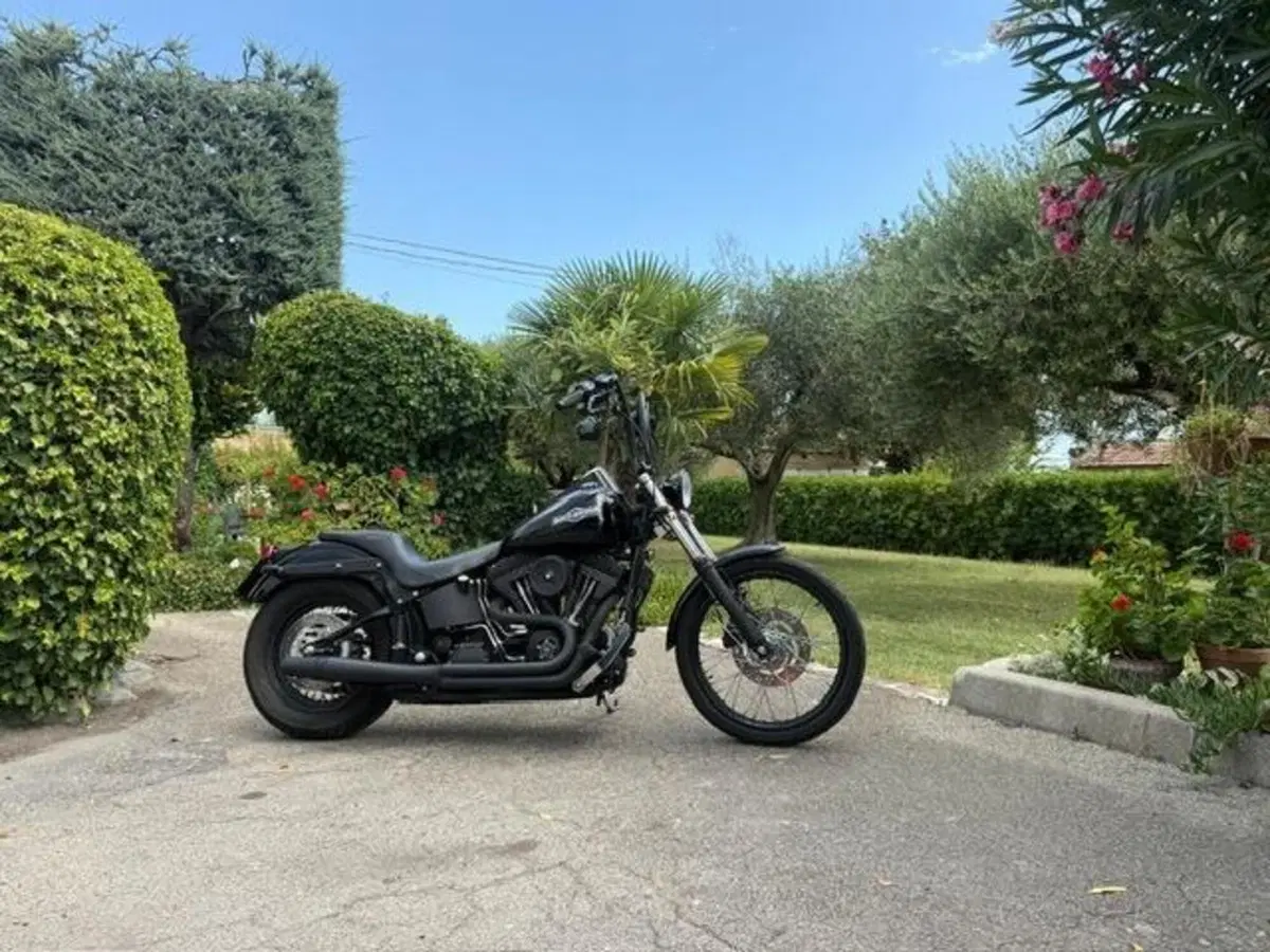 Harley-Davidson 1450 Night Train (2002 - 05) - FXSTBI