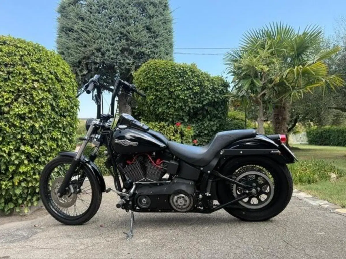 Harley-Davidson 1450 Night Train (2002 - 05) - FXSTBI (6)