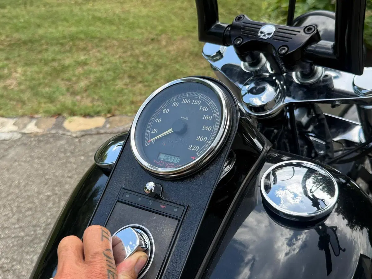 Harley-Davidson 1450 Night Train (2002 - 05) - FXSTBI (11)