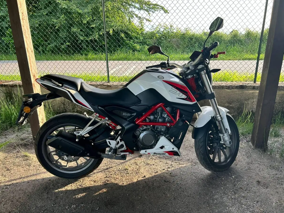 Benelli BN 251 (2015 - 16) (2)