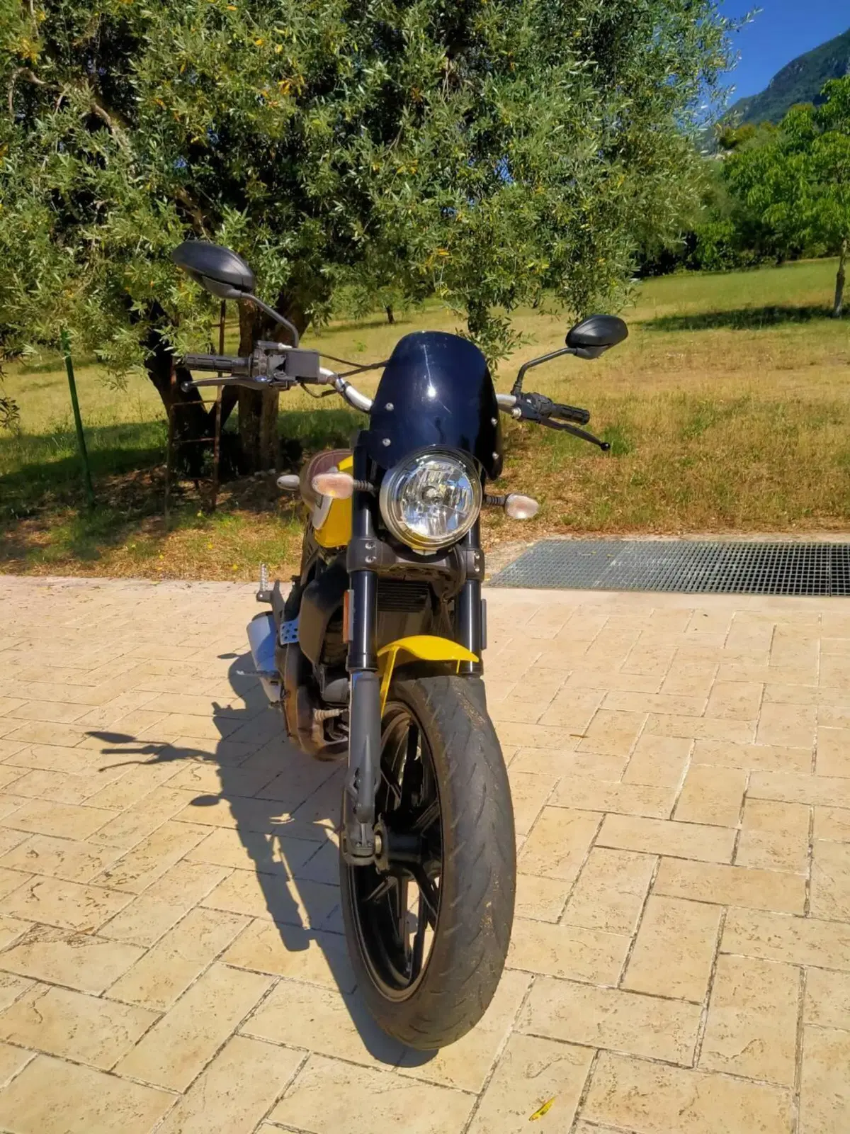Ducati Scrambler 800 Icon (2017 - 20) (2)