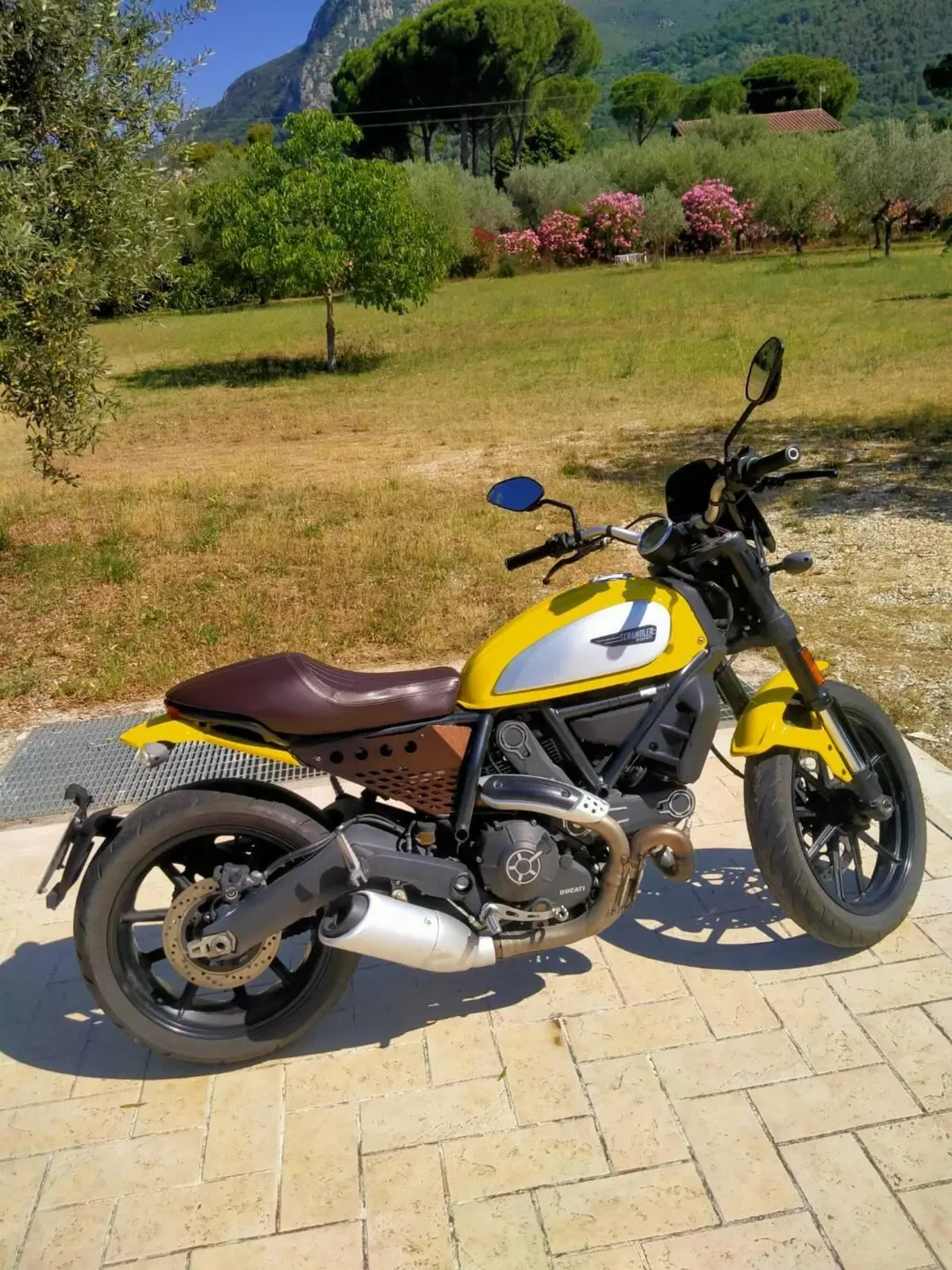 Ducati Scrambler 800 Icon (2017 - 20) (3)
