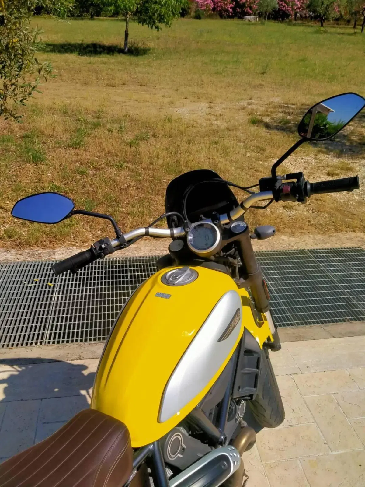 Ducati Scrambler 800 Icon (2017 - 20) (6)