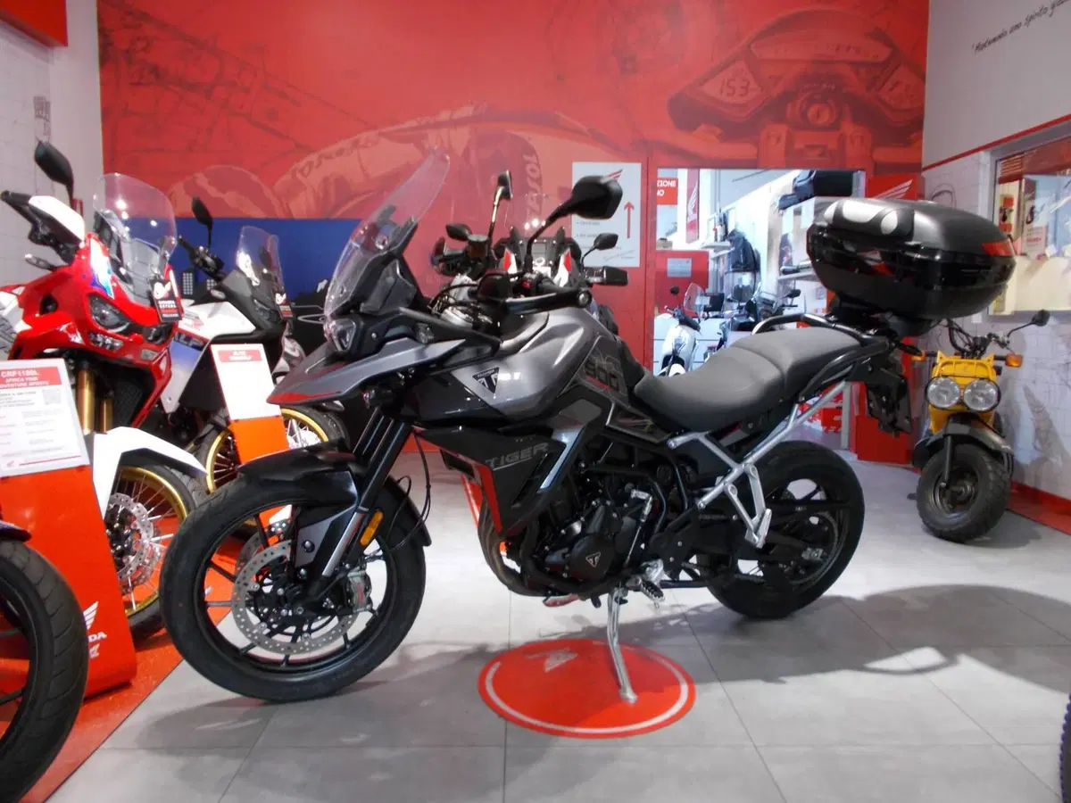Triumph Tiger 900 GT Pro (2024 - 26)