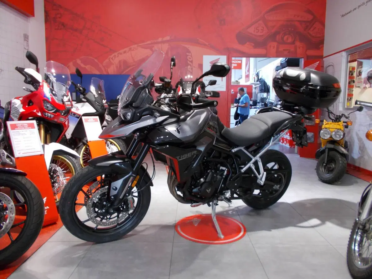 Triumph Tiger 900 GT Pro (2024 - 26) (3)