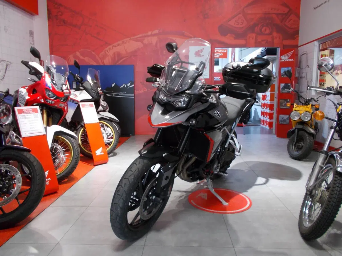 Triumph Tiger 900 GT Pro (2024 - 26) (4)