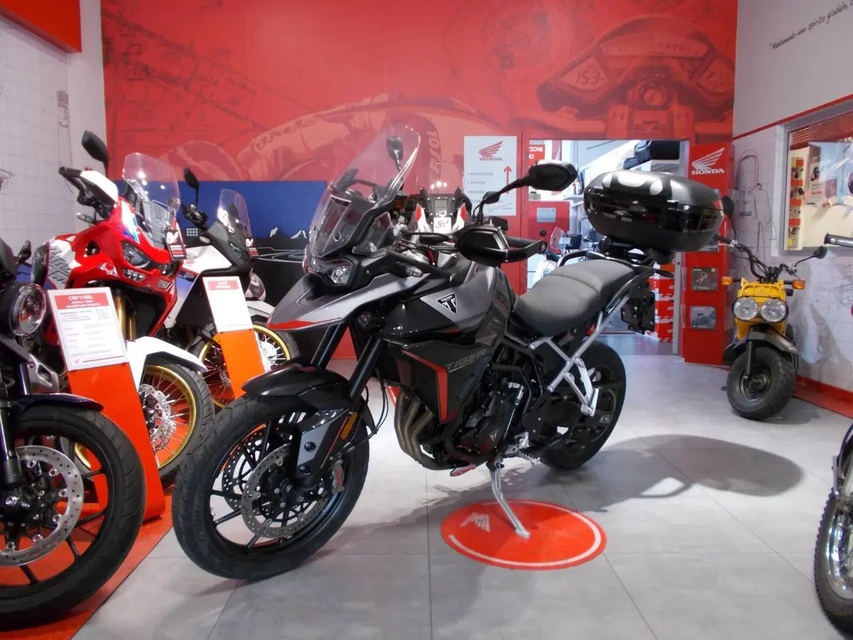 Triumph Tiger 900 GT Pro (2024 - 26) (5)