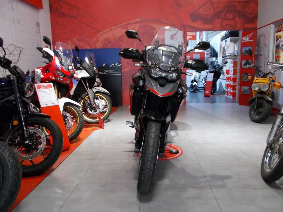 Triumph Tiger 900 GT Pro (2024 - 26) (8)