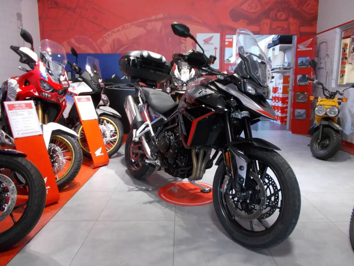 Triumph Tiger 900 GT Pro (2024 - 26) (9)