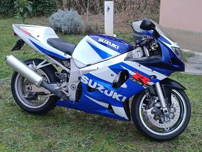 Suzuki GSX R 600 (2001 - 03) usata