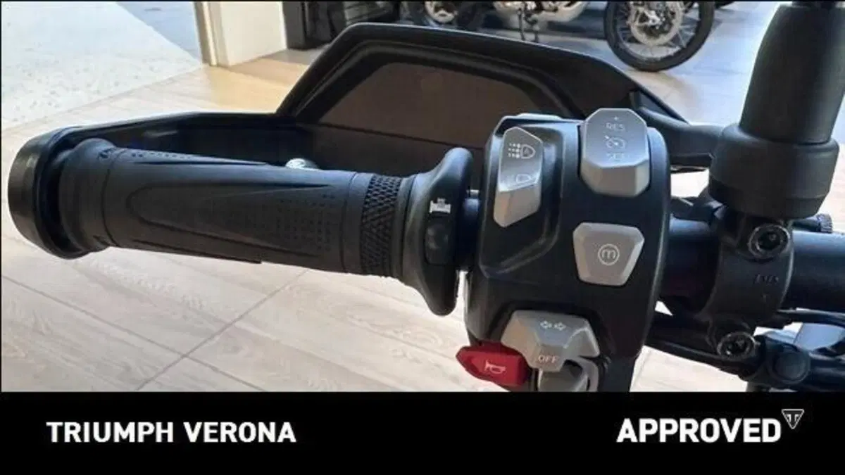 Triumph Tiger 900 GT Pro (2024 - 26) (10)