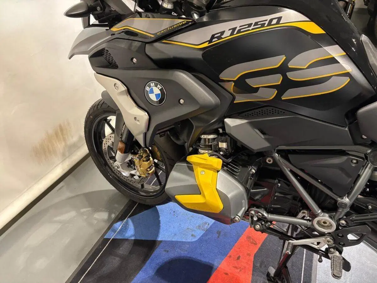 Bmw R 1250 GS (2019 - 20) (10)