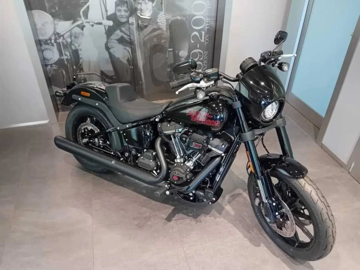 Harley-Davidson Low Rider S (2025 - 26) (4)