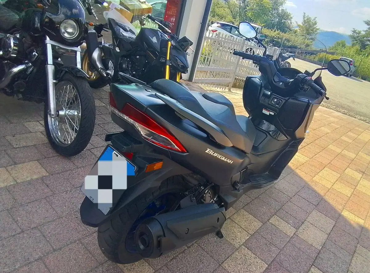 Suzuki Burgman AN 400 (1999 - 00) (13)