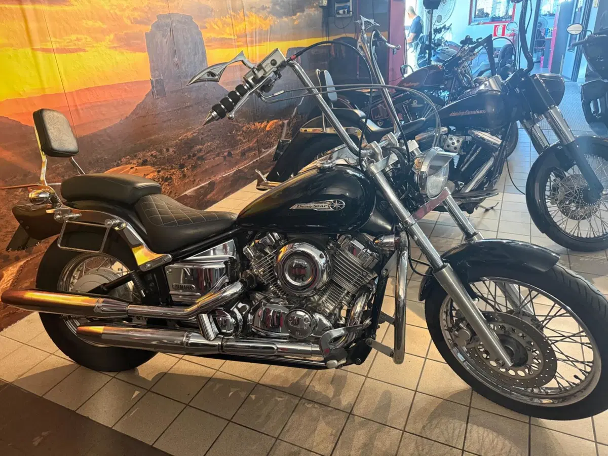 Yamaha XVS 650 Drag Star A Classic (1998 - 06) (4)