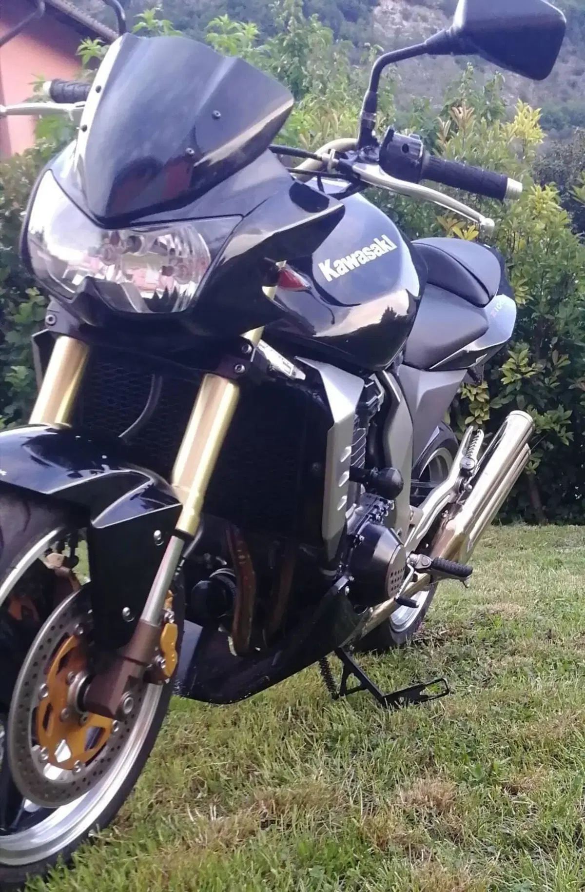 Kawasaki Z 1000 (2003 - 06) (2)