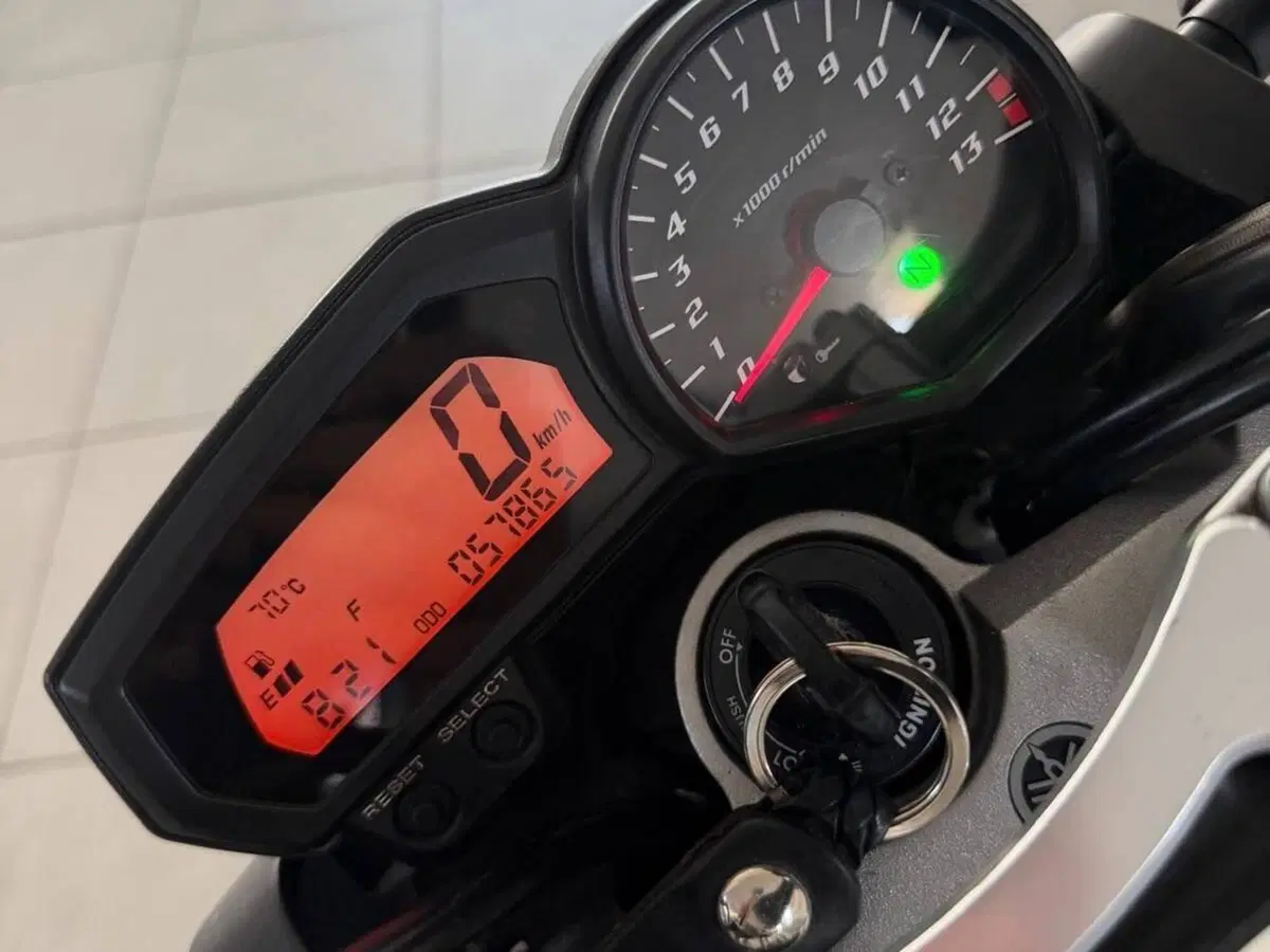 Yamaha FZ1 (2006 - 16) (8)
