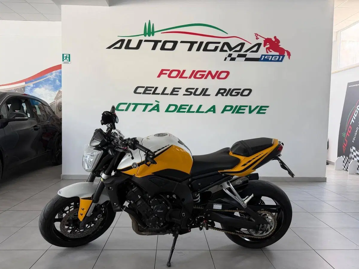 Yamaha FZ1 (2006 - 16) (6)