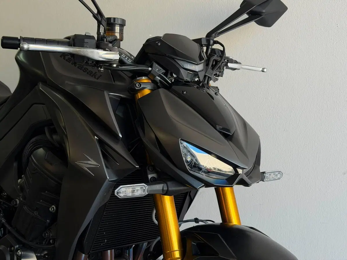 Kawasaki Z 1100 SE (2026) (2)