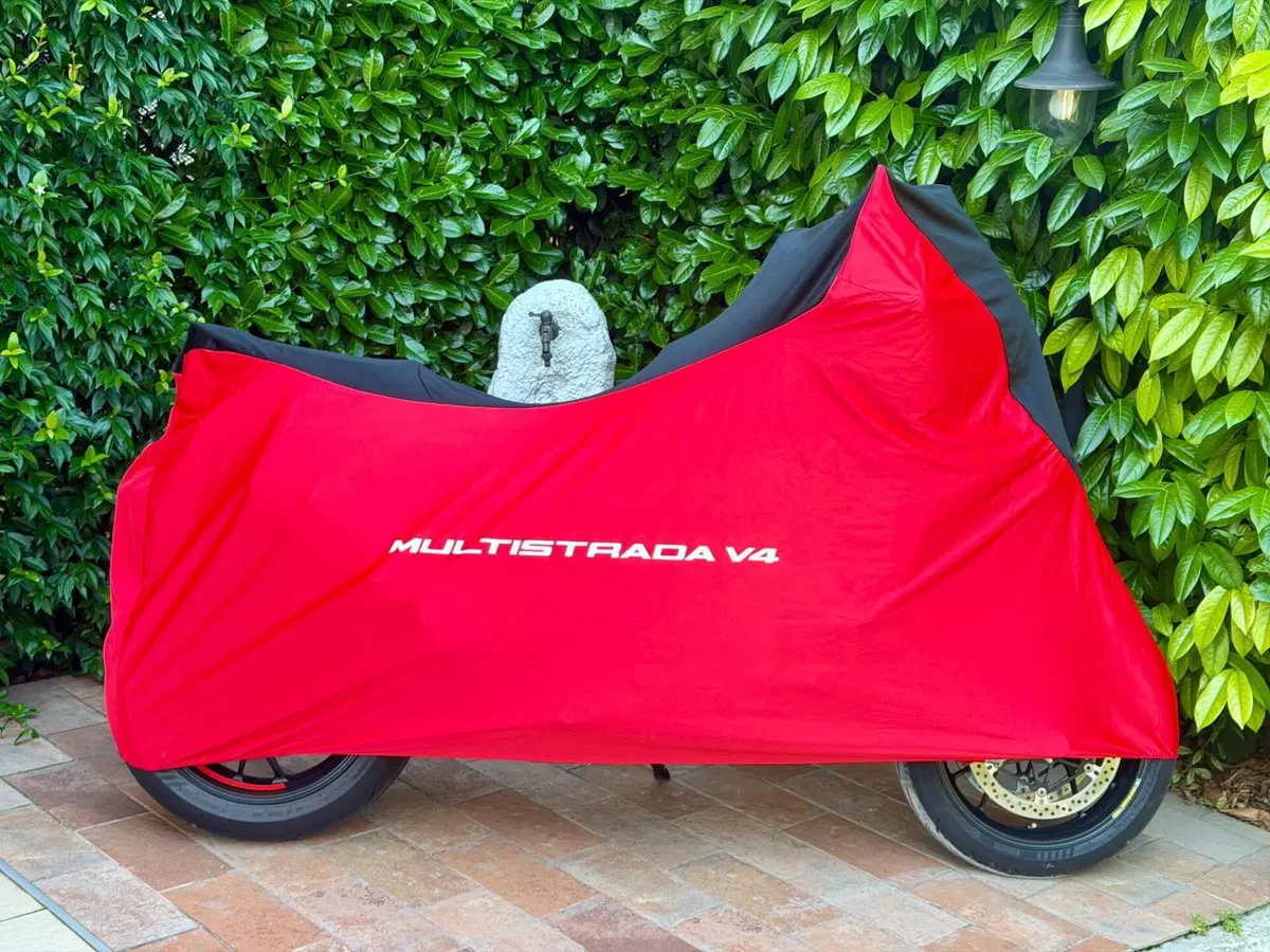 Ducati Multistrada V4 RS (2024 - 25) (14)