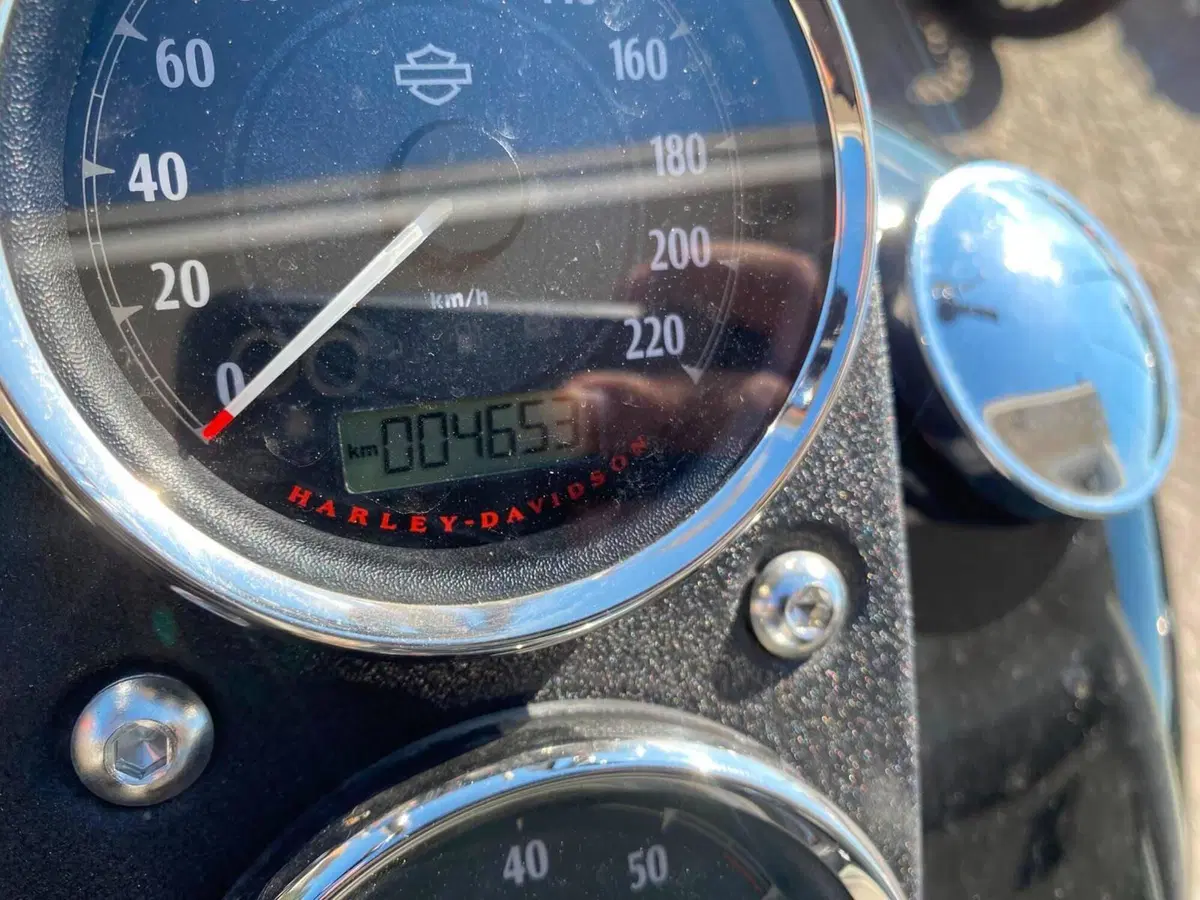 Harley-Davidson 1690 Low Rider (2014 - 17) - FXDL (3)
