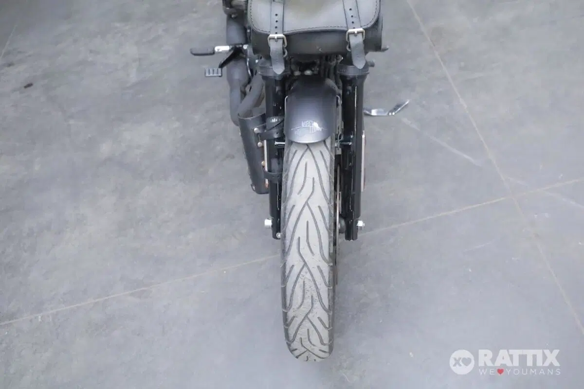 Harley-Davidson 883 Iron (2017 - 20) - XL 883N (10)