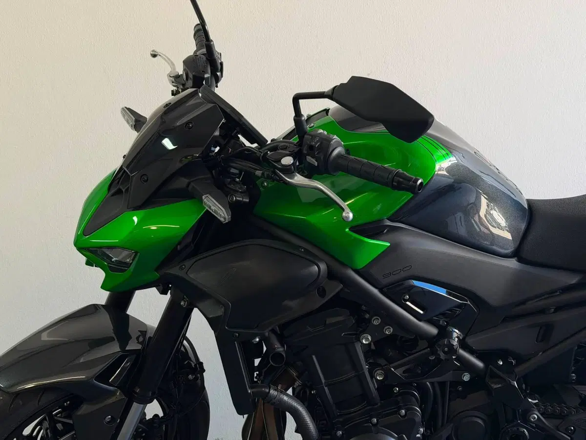 Kawasaki Z 900 (2025 - 26) (3)