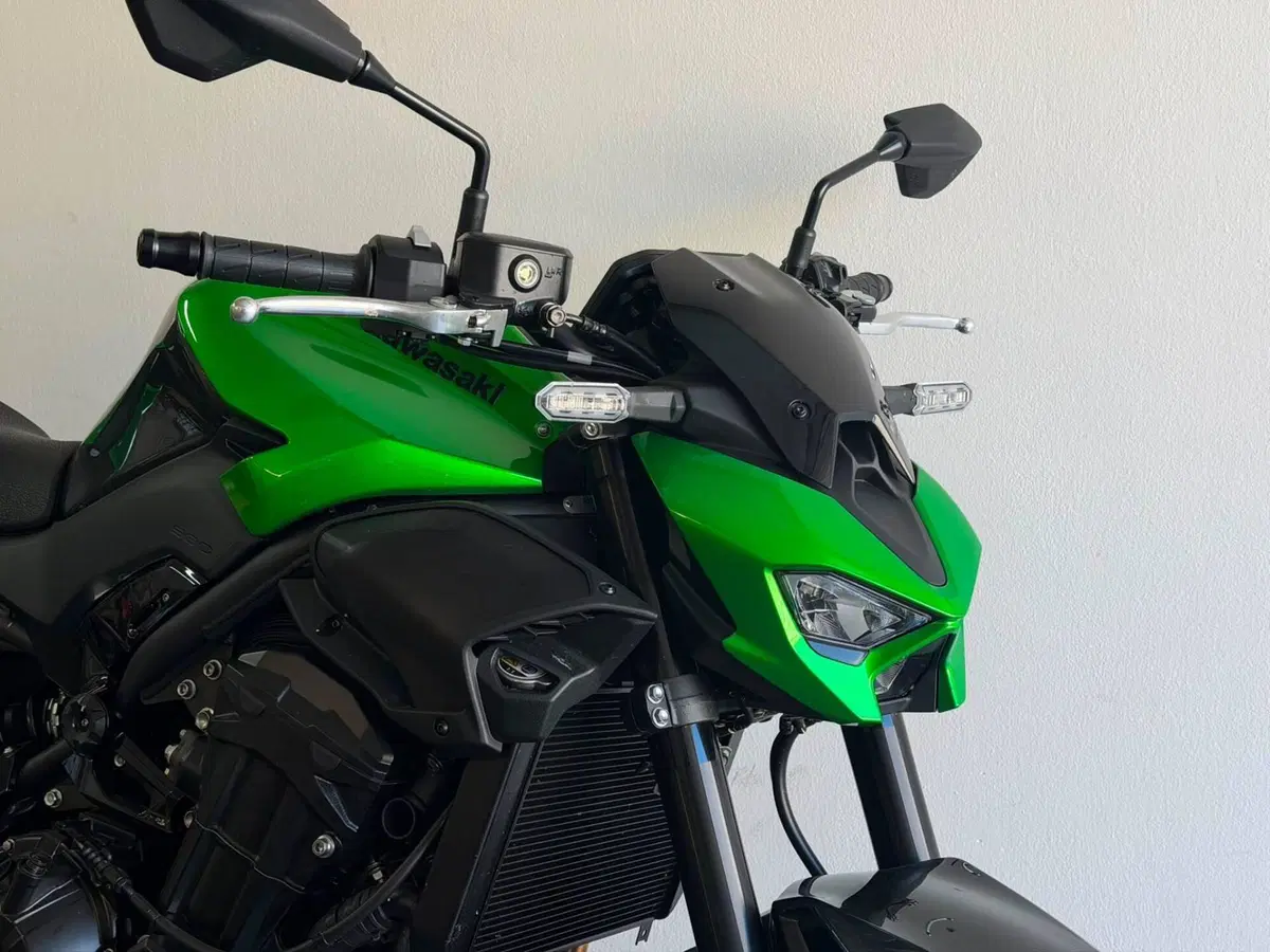 Kawasaki Z 900 (2025 - 26) (4)