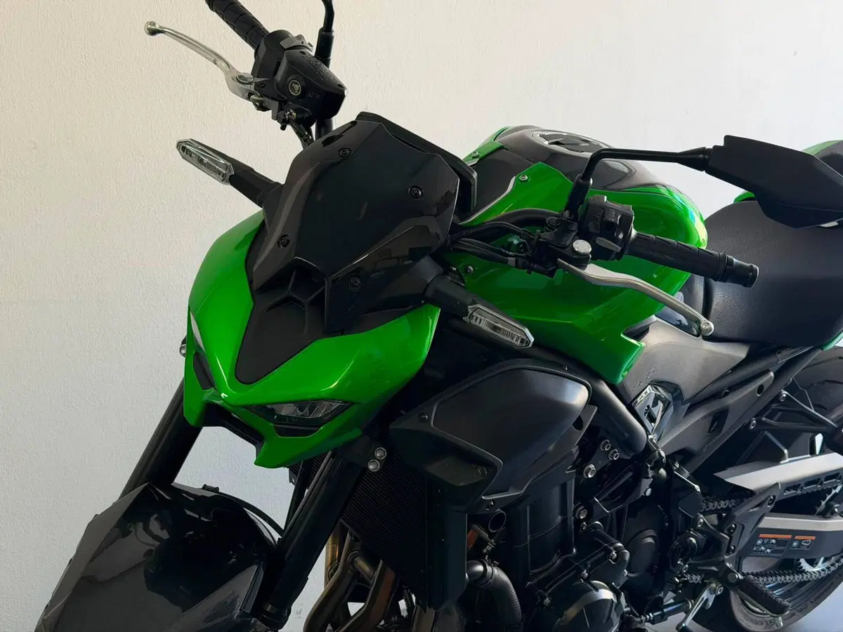 Kawasaki Z 900 (2025 - 26) (5)