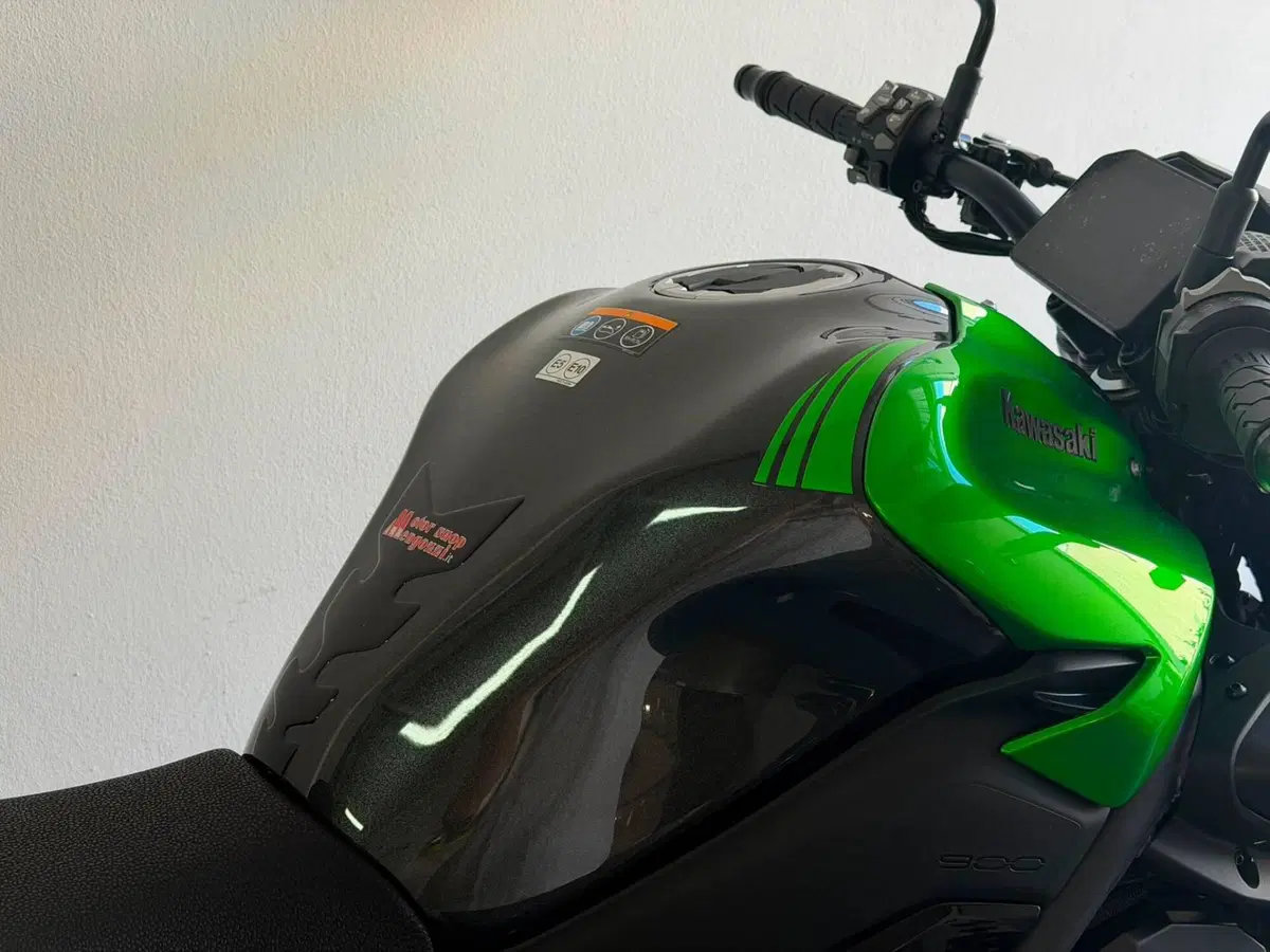 Kawasaki Z 900 (2025 - 26) (6)