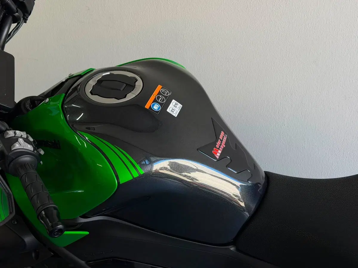 Kawasaki Z 900 (2025 - 26) (7)