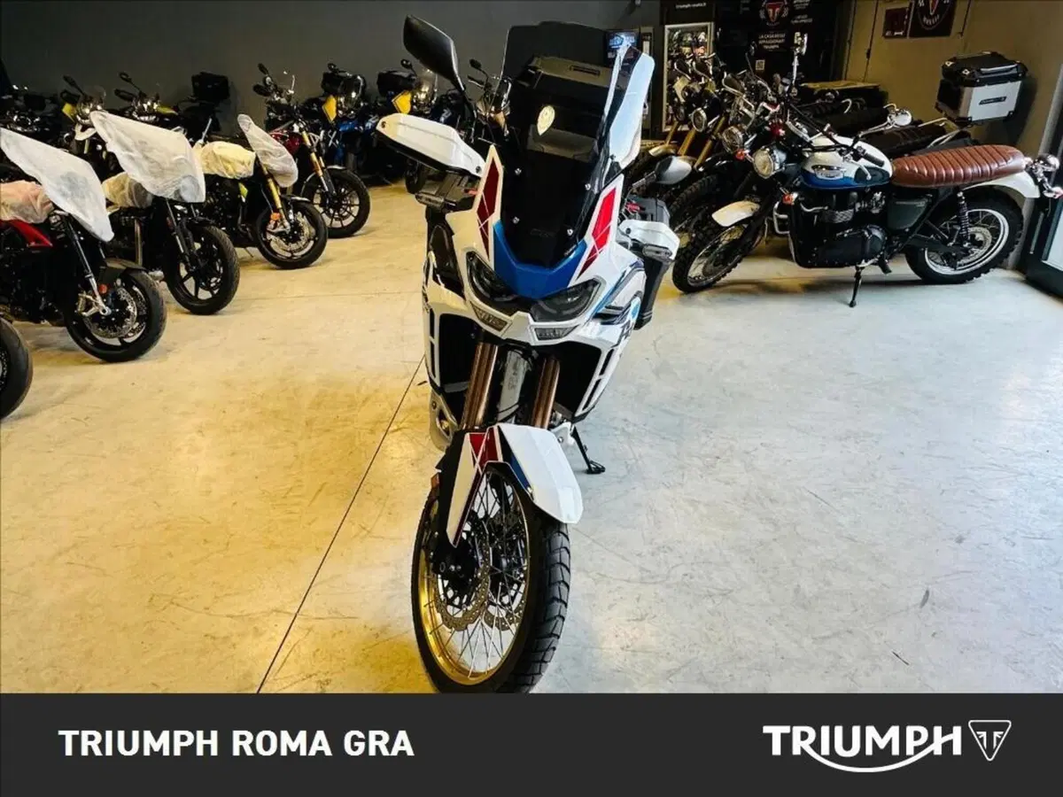 Honda Africa Twin CRF 1100L Adventure Sports DCT (2022 - 23) (13)