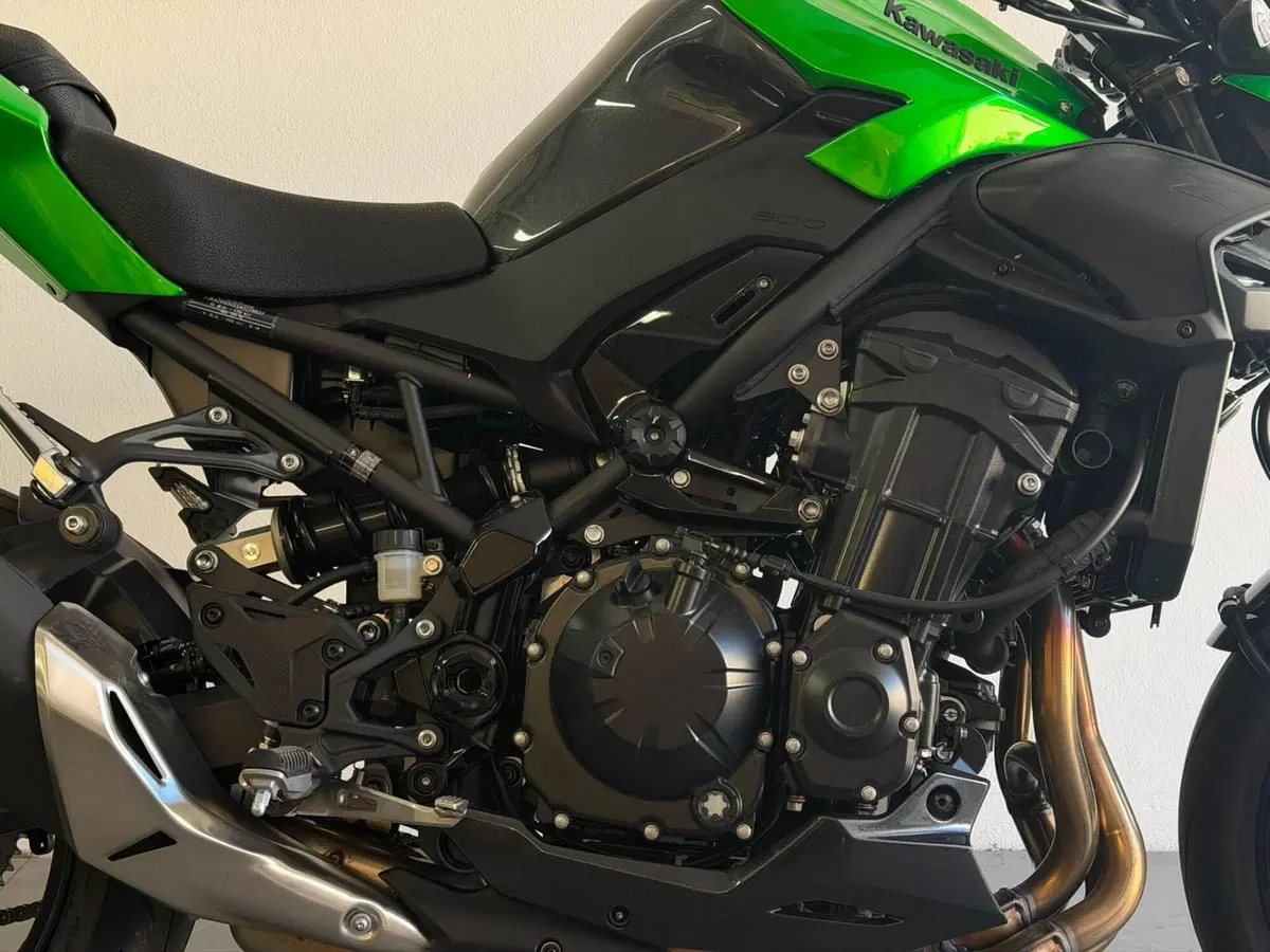 Kawasaki Z 900 (2025 - 26) (8)
